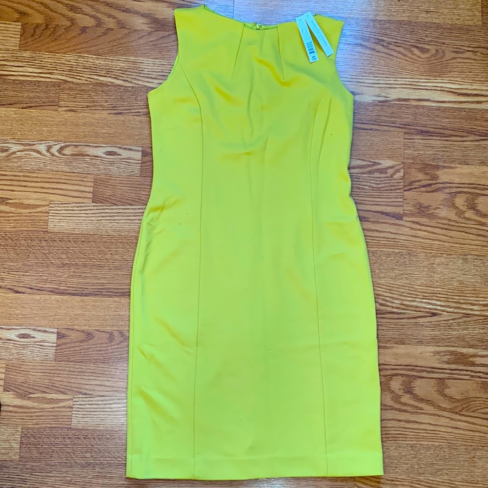 Adrienne Vittadini size 8 dress.